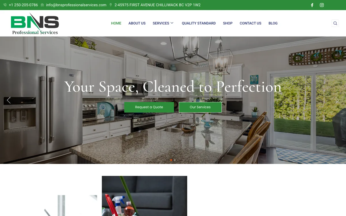 Commercial cleaning company website (bnsprofessionalservices.com)